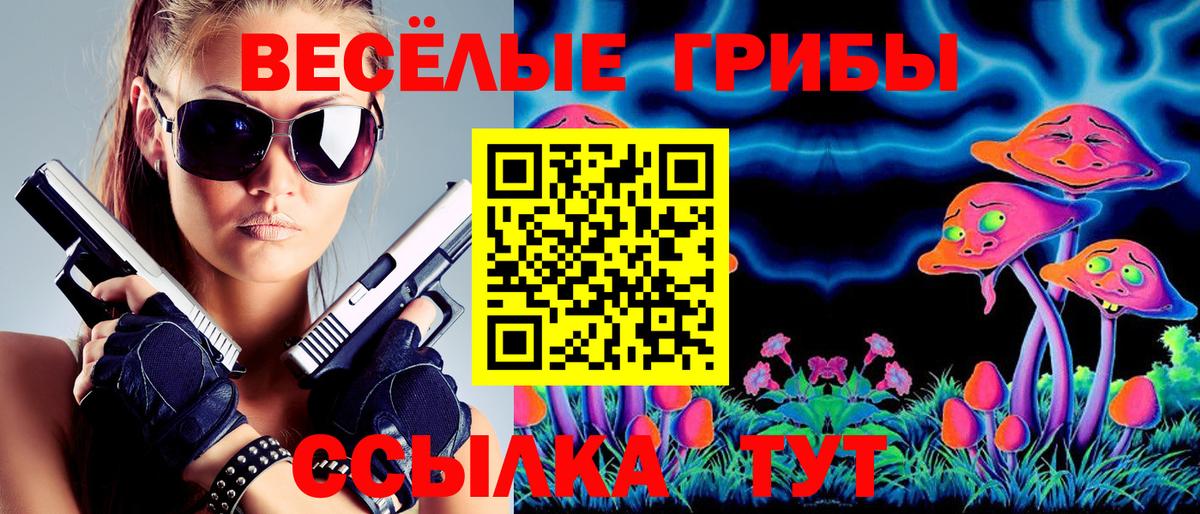 магазин продажи   Псилоцибиновые грибы ЛСД  Вход с VPN  Горно-Алтайск  Псилоцибиновые грибы Magic Shrooms 