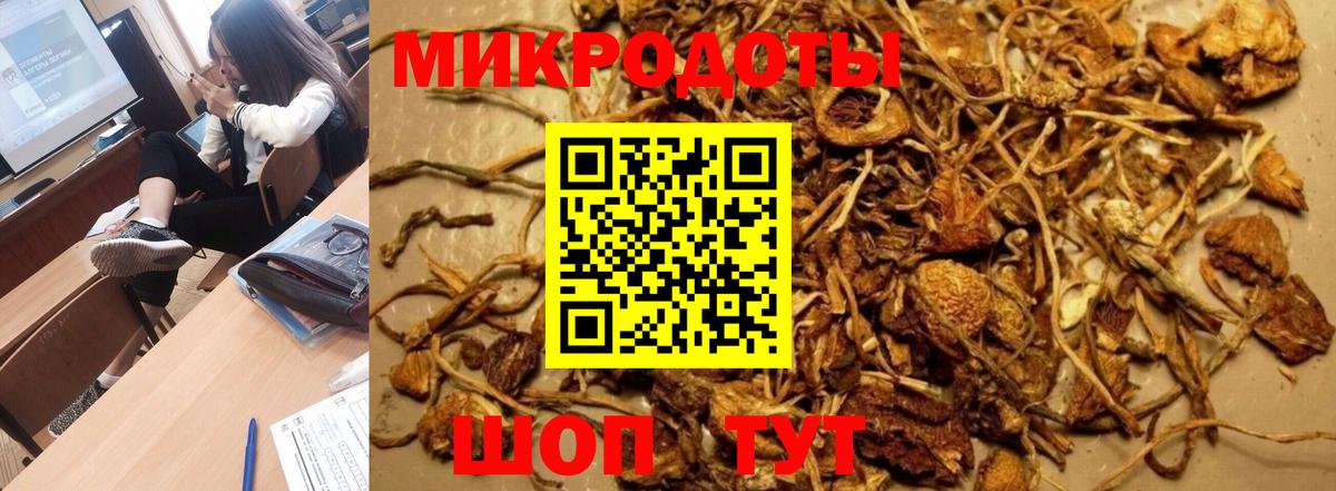 Псилоцибиновые грибы мухоморы Горно-Алтайск